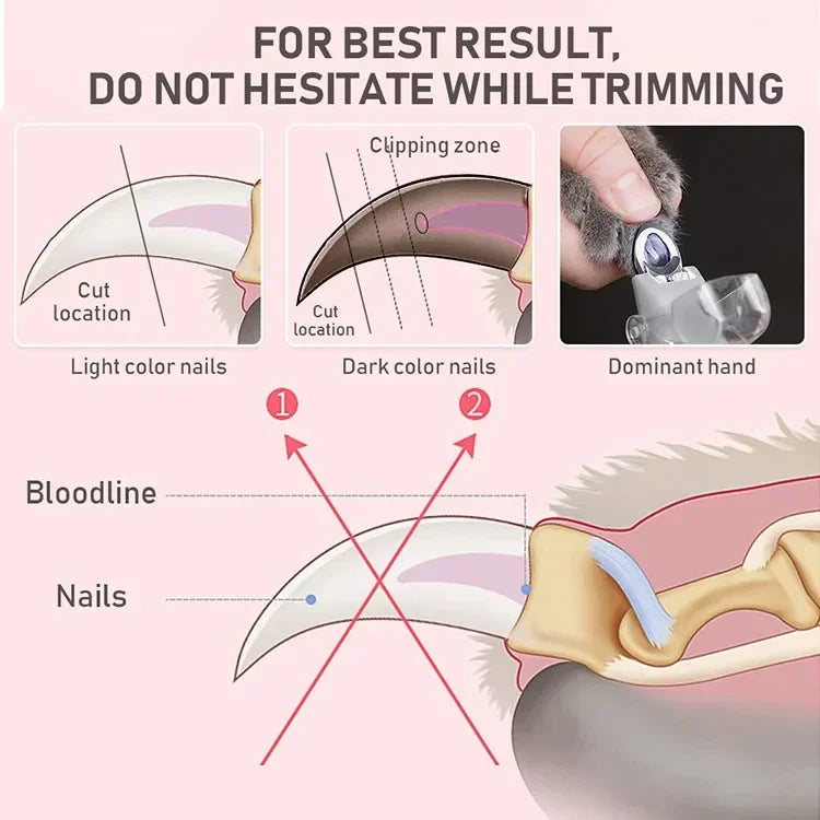 1 LED Pet Nail Clipper with Light, Cat and Dog Cleaning Scissors Provide Simple and Safe Beauty Care for Dogs and Cat Claws