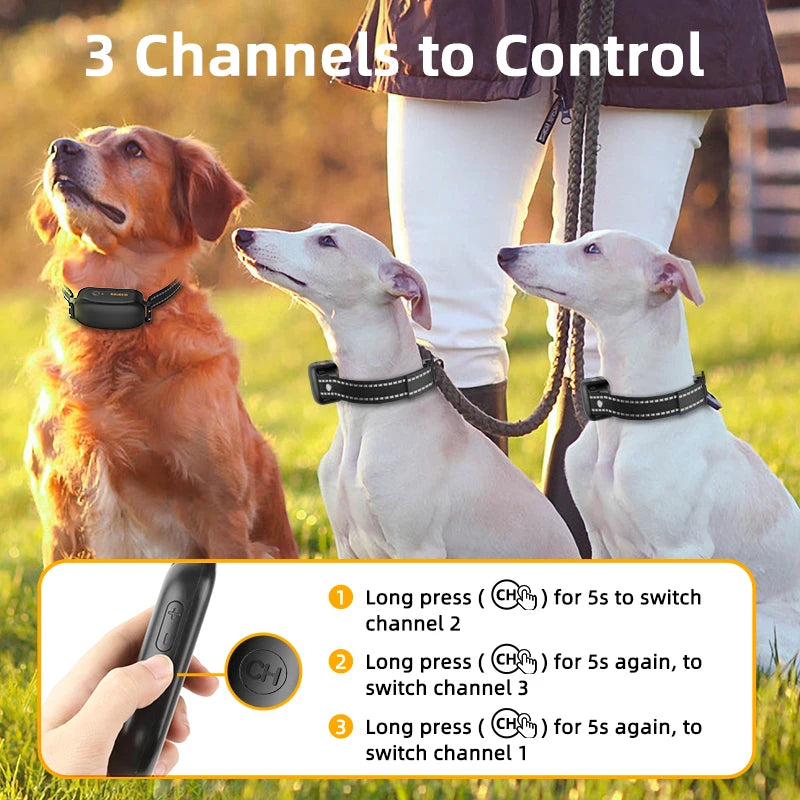 Collar de Entrenamiento para Perros ROJECO PD521 – Control Remoto 1000m, IPX7