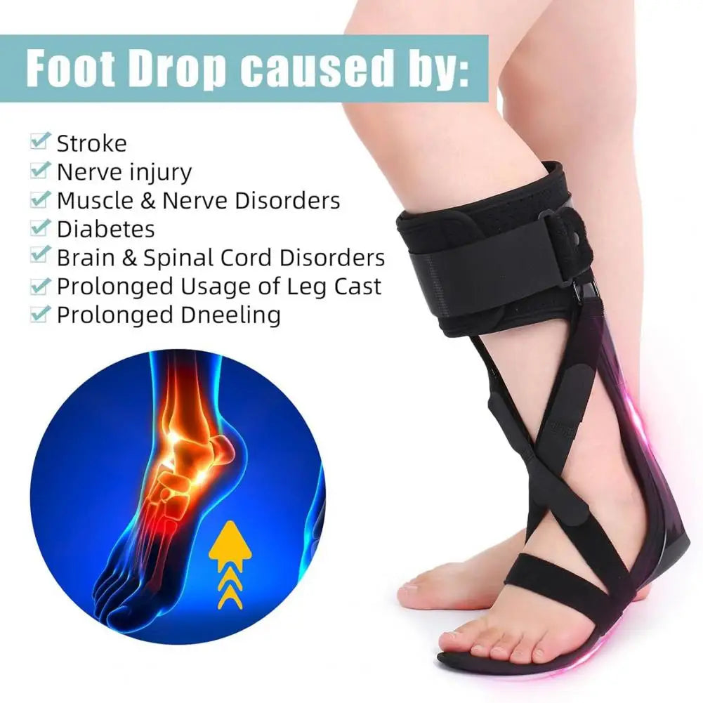 Drop Foot Stabilizer Ankle Brace With Adjustable Strap Soft Lining Wear Resistant Pain Relief Ergonomic Foot Support Brace 발목 지지