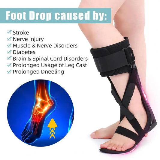 Drop Foot Stabilizer Ankle Brace With Adjustable Strap Soft Lining Wear Resistant Pain Relief Ergonomic Foot Support Brace 발목 지지
